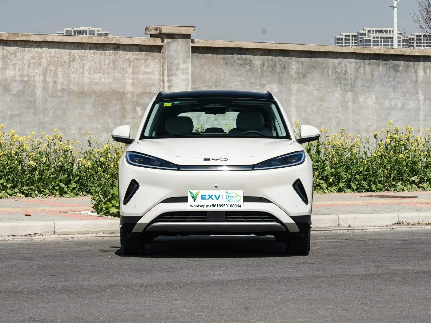 The BYD Sea Lion 05 EV is set to launch on March 25th, featuring the Tian Shen Zhi Yan C high-level intelligent driving system as standard across all models.